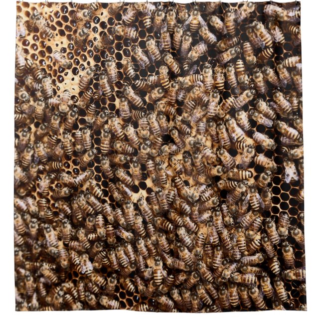 CORTINA PARA BOX BEEHIVE (Frente)