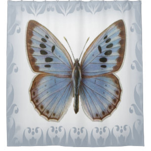 Cortina Para Box Bela Borboleta Azul