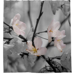 Cortina Para Box Blossomas de Cereja Rosa