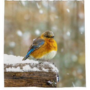 Cortina Para Box Bluebird oriental na neve - Foto original