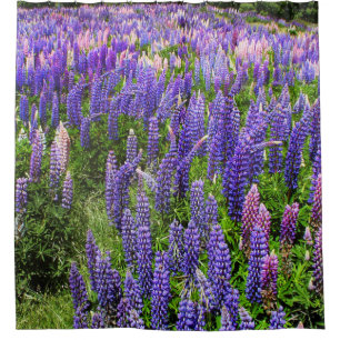 Cortina Para Box Bluebonnets Blue Floral Texas Texan Elegante