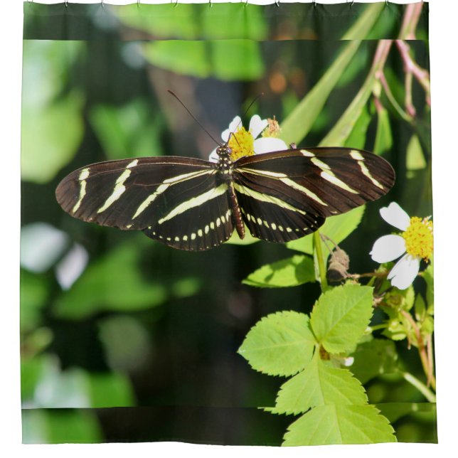 Cortina Para Box Borboleta Zebra Longwing (Frente)