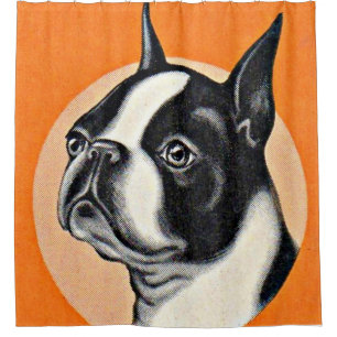 Cortina Para Box Boston terrier