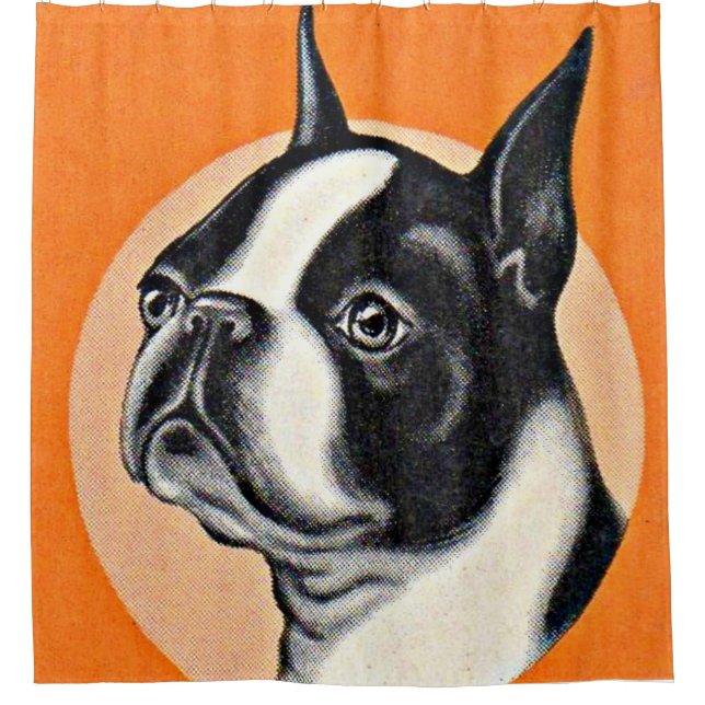 Cortina Para Box Boston terrier (Frente)