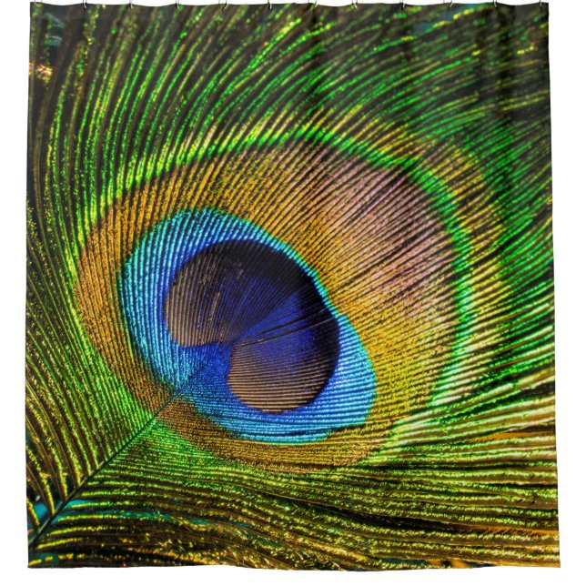 Cortina Para Box Bright Feather (Frente)