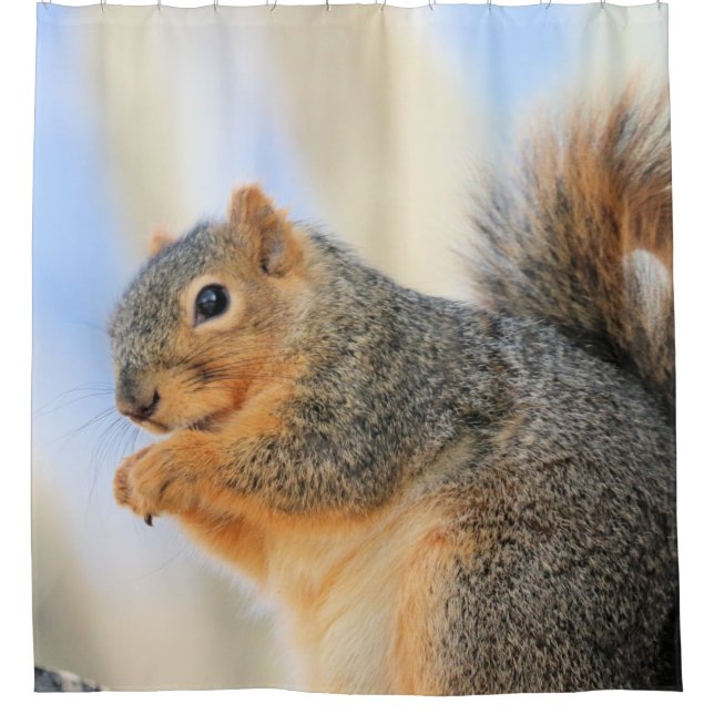 Cortina Para Box Brincadeira (Frente)