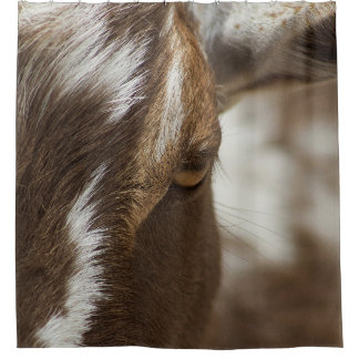 Cortina Para Box Cabra