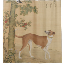 Cortina Para Box Cachorro Greyhound Chinês Vintage e Arte de Pássar