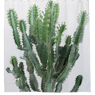 Cortina Para Box Cacto Verde: Fundo Branco Minimalista