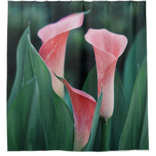 Cortina Para Box Calla Lily Pink Flowers