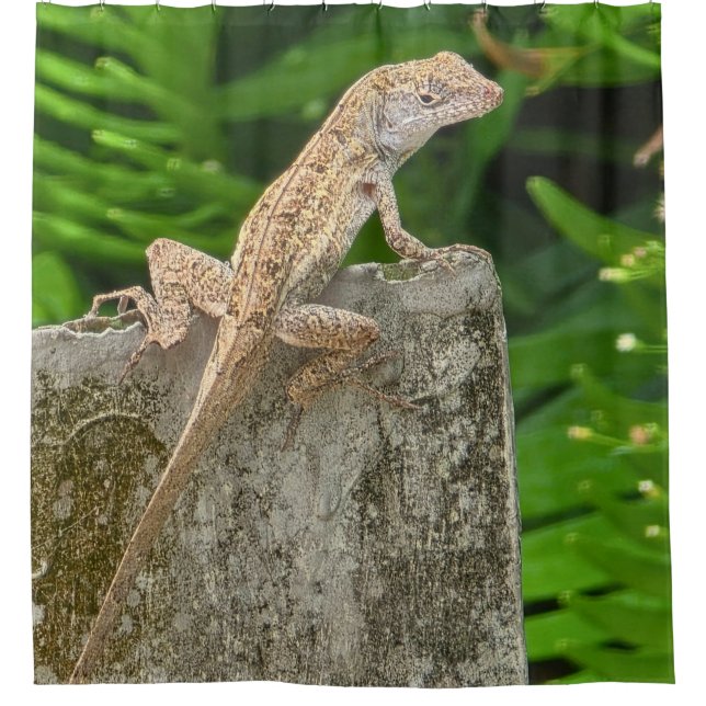 Cortina Para Box Camouflage Master (Frente)