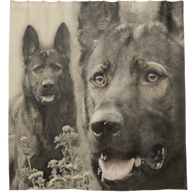 Cortina Para Box Cão de german shepherd de trabalho - GSD (Frente)