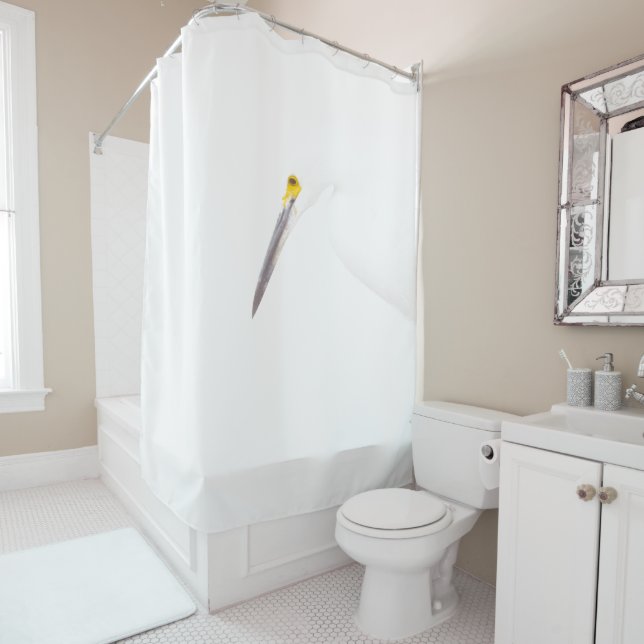 Cortina Para Box Captura de cabeça Egret (In Situ)