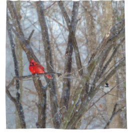 Cortina Para Box Cardeal e Frango