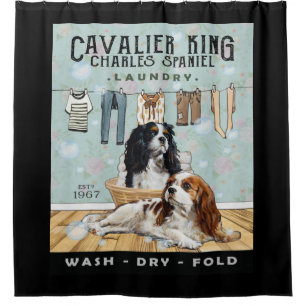 Cortina Para Box Cavalier King Charles Spaniel