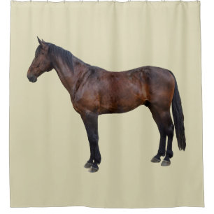Cortina Para Box Cavalo Morgan de Perfil