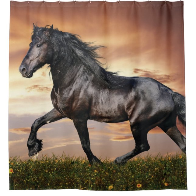 Cortina Para Box Cavalo Preto Lindo (Frente)