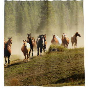 Cortina Para Box Cavalos correndo em Montana ranch