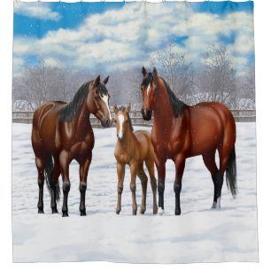 Cortina Para Box Cavalos De Quarto De Baía Na Neve