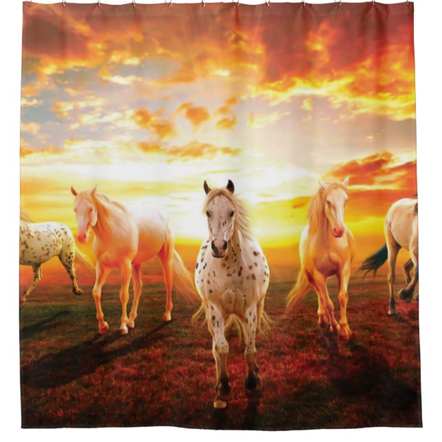 Cortina Para Box Cavalos no travesseiro decorativo solar (Frente)