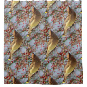 Cortina Para Box Cedar Waxwing Bird Nature Patterno
