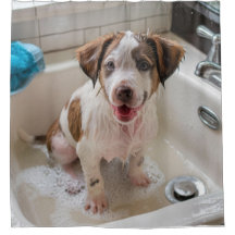 Chá De Soapo Molhado