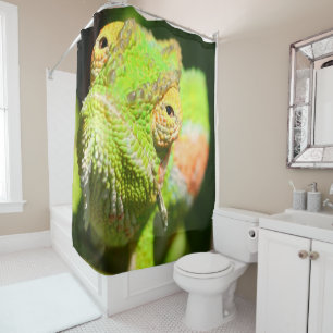 Cortina Para Box Chameleon