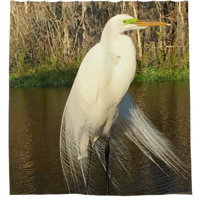 Cortina Para Box Charlie The Great Egret (Frente)