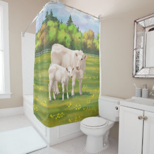 Cortina Para Box Charolais Vaca e Fapo Fresco na Pastagem de Verão