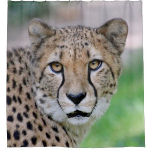 Cortina Para Box Cheetah 009