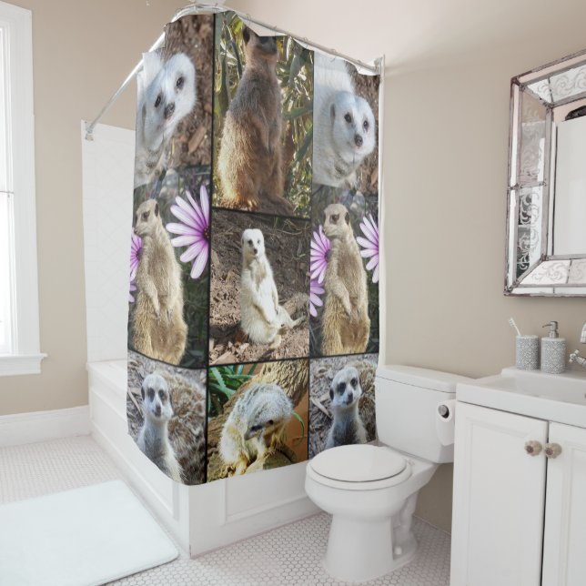 Cortina Para Box Colagem de Fotos Meerkat, (In Situ)