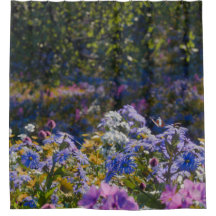 Colheita de Primavera