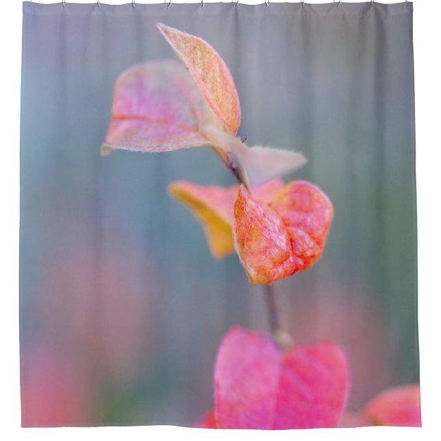 Cortina Para Box Colorful Cotonou Leaves (Frente)