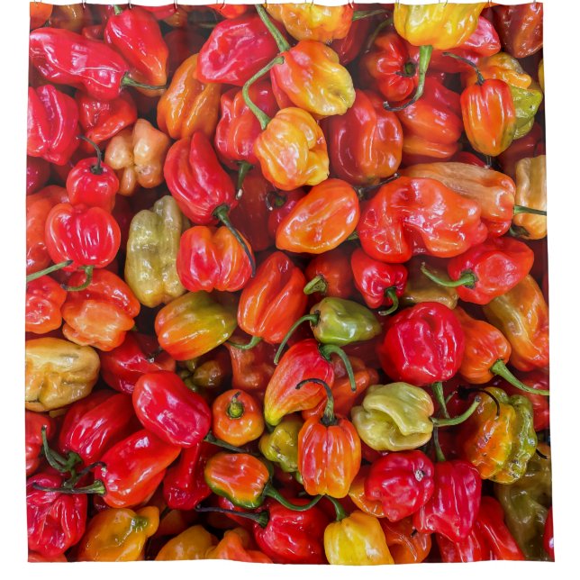 Cortina Para Box Comida bonito (Frente)