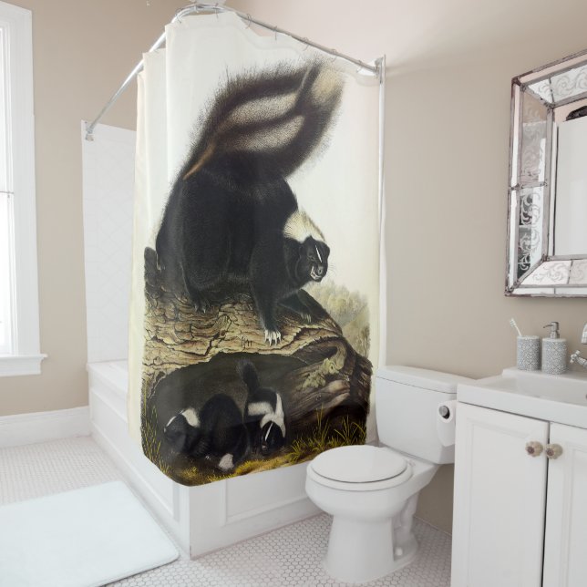 Cortina Para Box Common American Skunk ou Striped Skunk, de Audubon (In Situ)