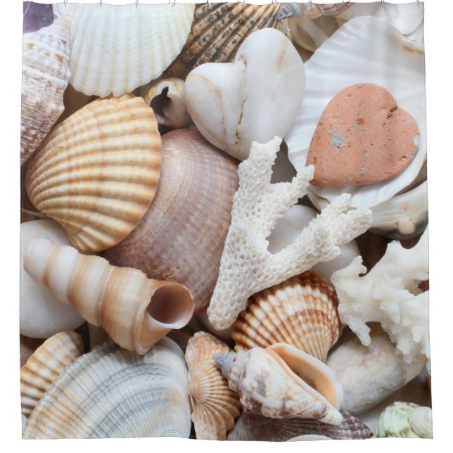 Cortina Para Box Conchas do Mar Pedras Fundo Coral (Frente)