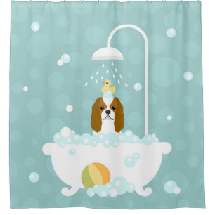Cortina Para Box Cor Clássica Cavalier King Charles Spaniel