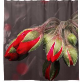 Cortina Para Box Cortina chá Vermelho E Escuro