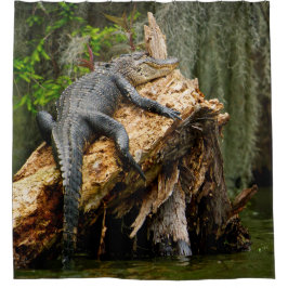 Cortina Para Box Cortina de Chá de Alligador Preguiçoso por DeGruy