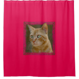 Cortina Para Box Cortina de chá do gato do gengibre