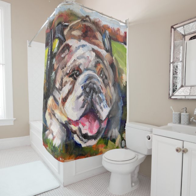 Cortina Para Box Cortina de chá do salvamento de OSNEB (In Situ)