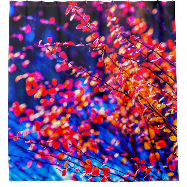 Cortina Para Box Cotoneaster Flamejante (Frente)