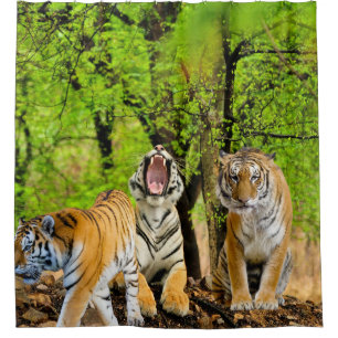 Cortina Para Box Crie sua própria natureza e amantes do Tiger Fores