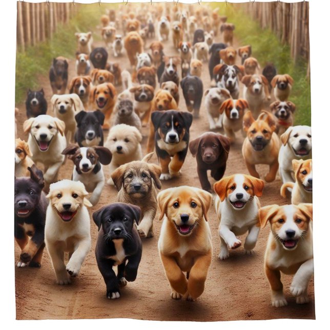 Cortina Para Box Cuppies (Frente)