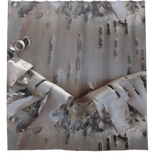 Cortina Para Box Curly Birch Bark Tree Rustic (Frente)