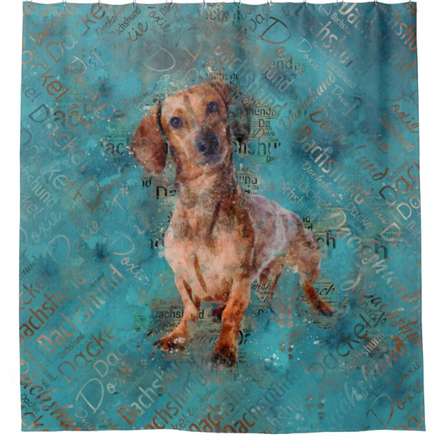 Cortina Para Box Dachshund dog Mixed Media Art (Frente)