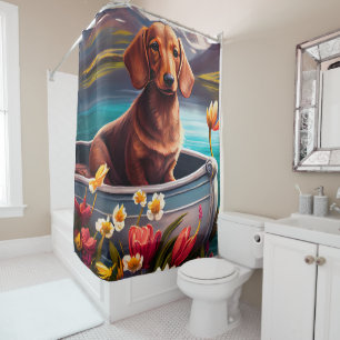 Cortina Para Box Dachshund em uma Pagaia: Uma Aventura Cênica