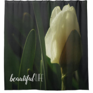 Cortina Para Box Daffodil Fotografia Linda Vida