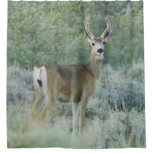 Cortina Para Box Deer