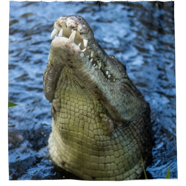 Cortina Para Box Dentes De Crocodilo Água (Frente)